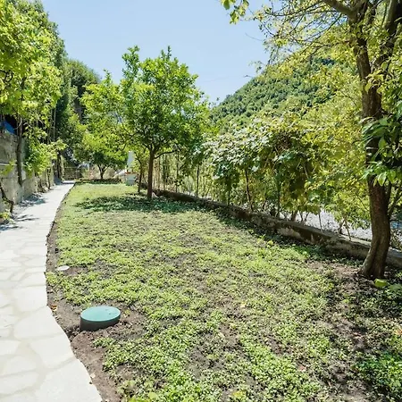 The Small Lemon Garden Casa vacanze *