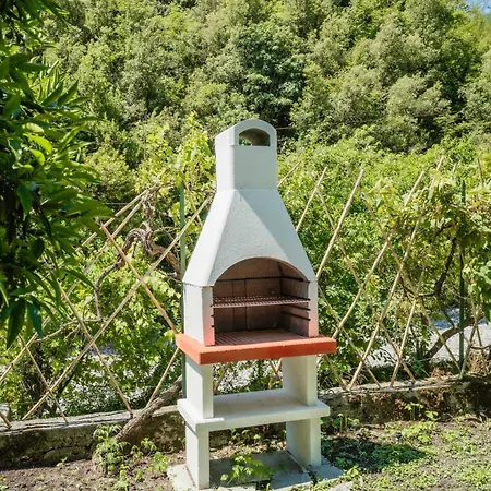 The Small Lemon Garden Casa vacanze Roma