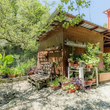 The Small Lemon Garden Casa vacanze *