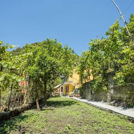 The Small Lemon Garden Casa vacanze *
